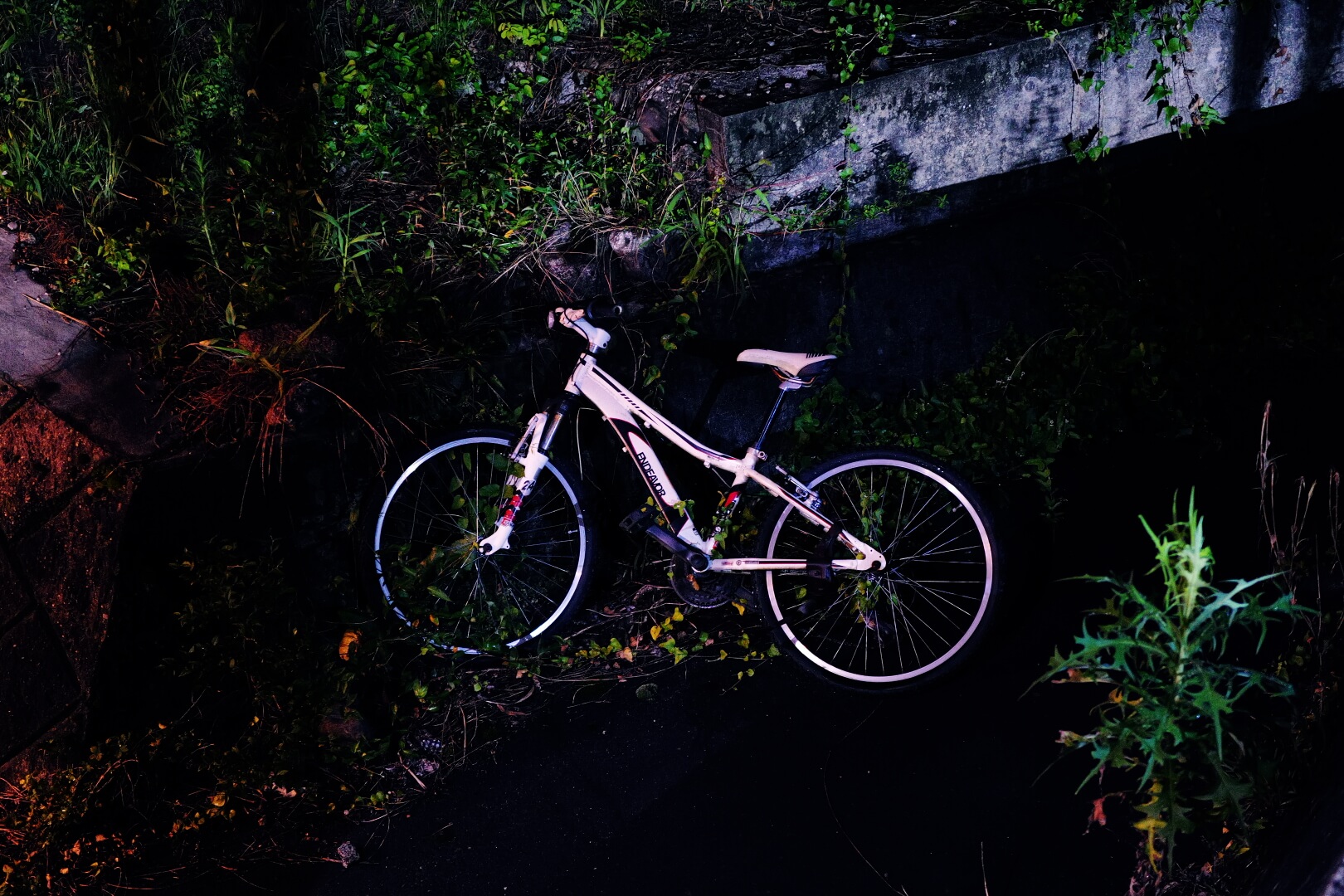 夜の道端に置かれた自転車の写真
