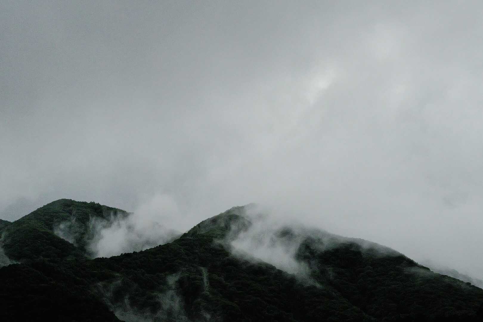 再び霧に包まれ始めた山の写真