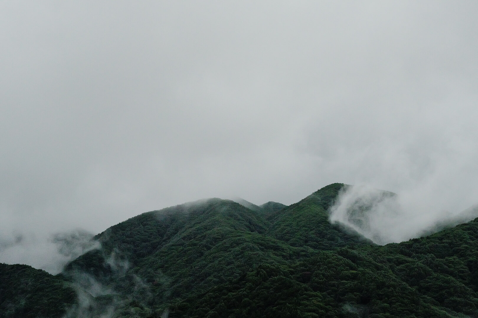 霧が薄くなった山の景色