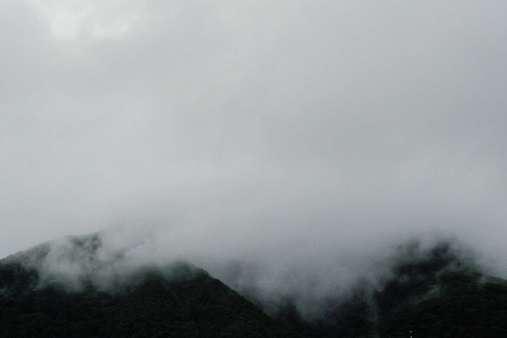霧に覆われた静かな山の風景