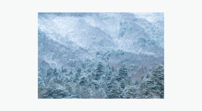 ISHIKAWA | Seasonal Gift Postcard Vol.05