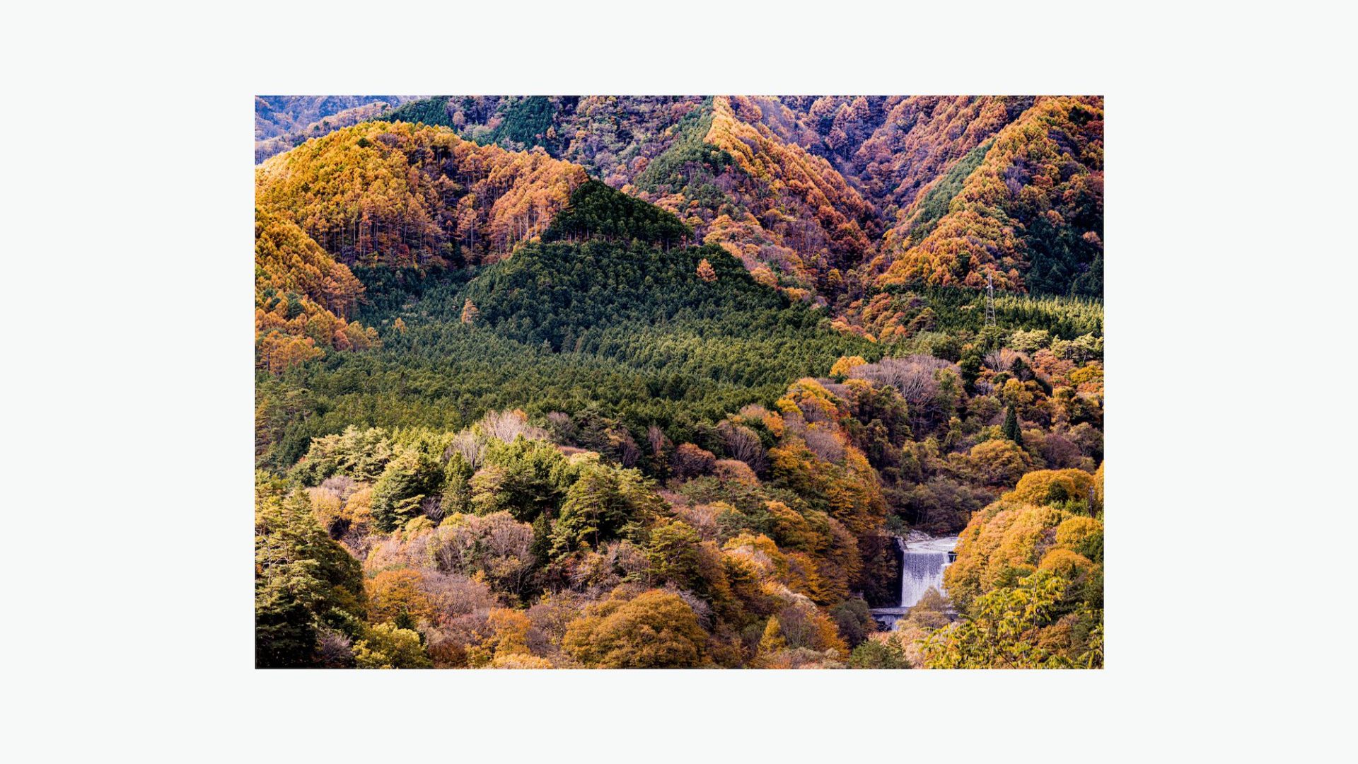 ISHIKAWA | Seasonal Gift Postcard Vol.42の記事を読む