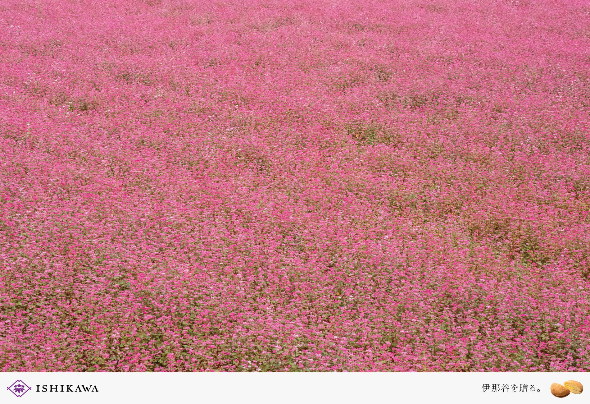 ISHIKAWA | SEASONAL GIFT-Vol.52の記事を読む