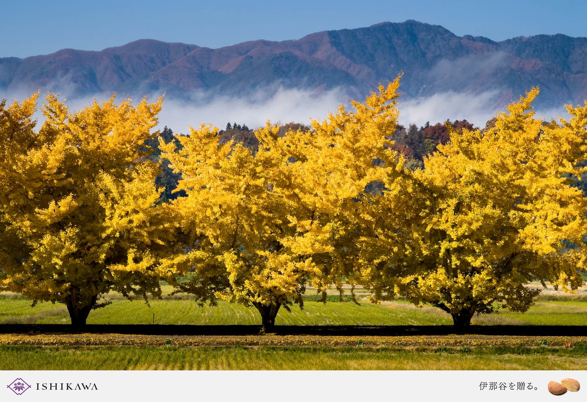 ISHIKAWA | SEASONAL GIFT-Vol.53