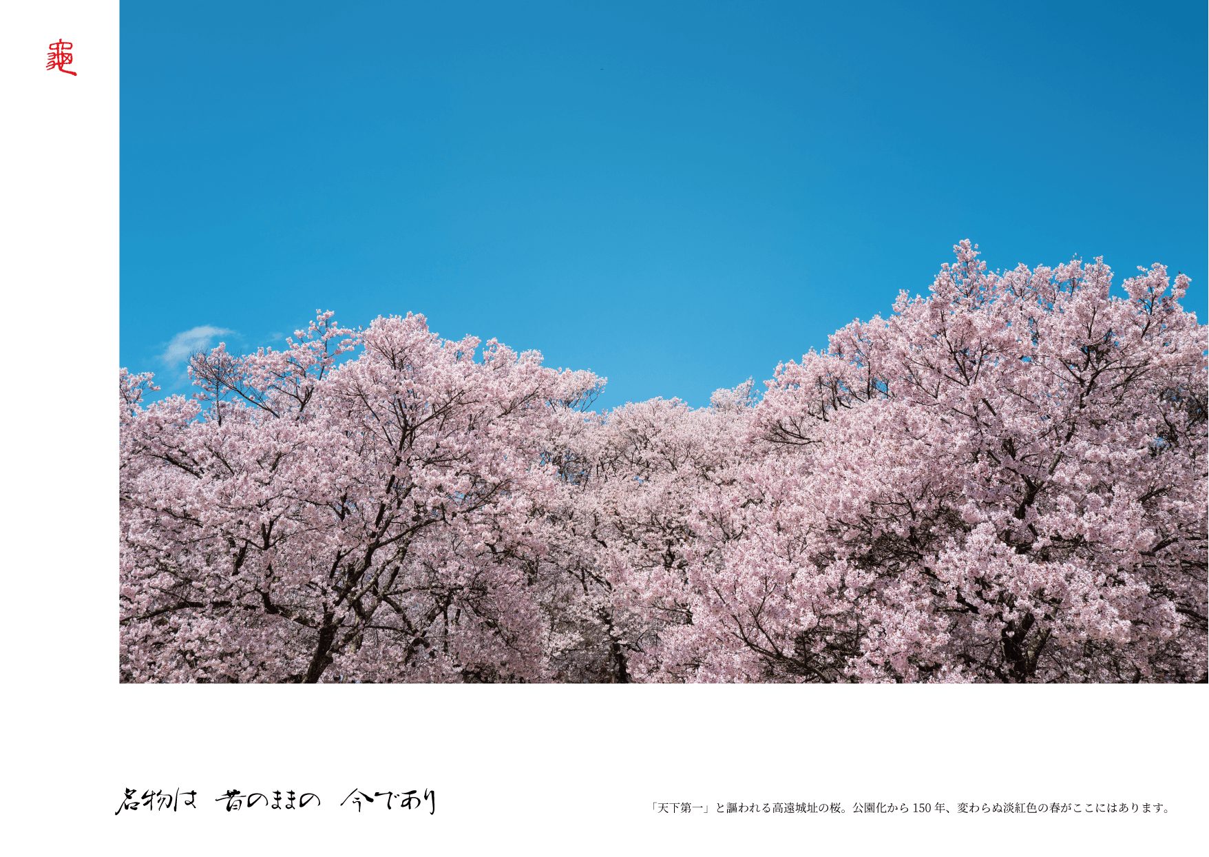 KAMEMAN | NEWSLETTER VOL.16 2026春