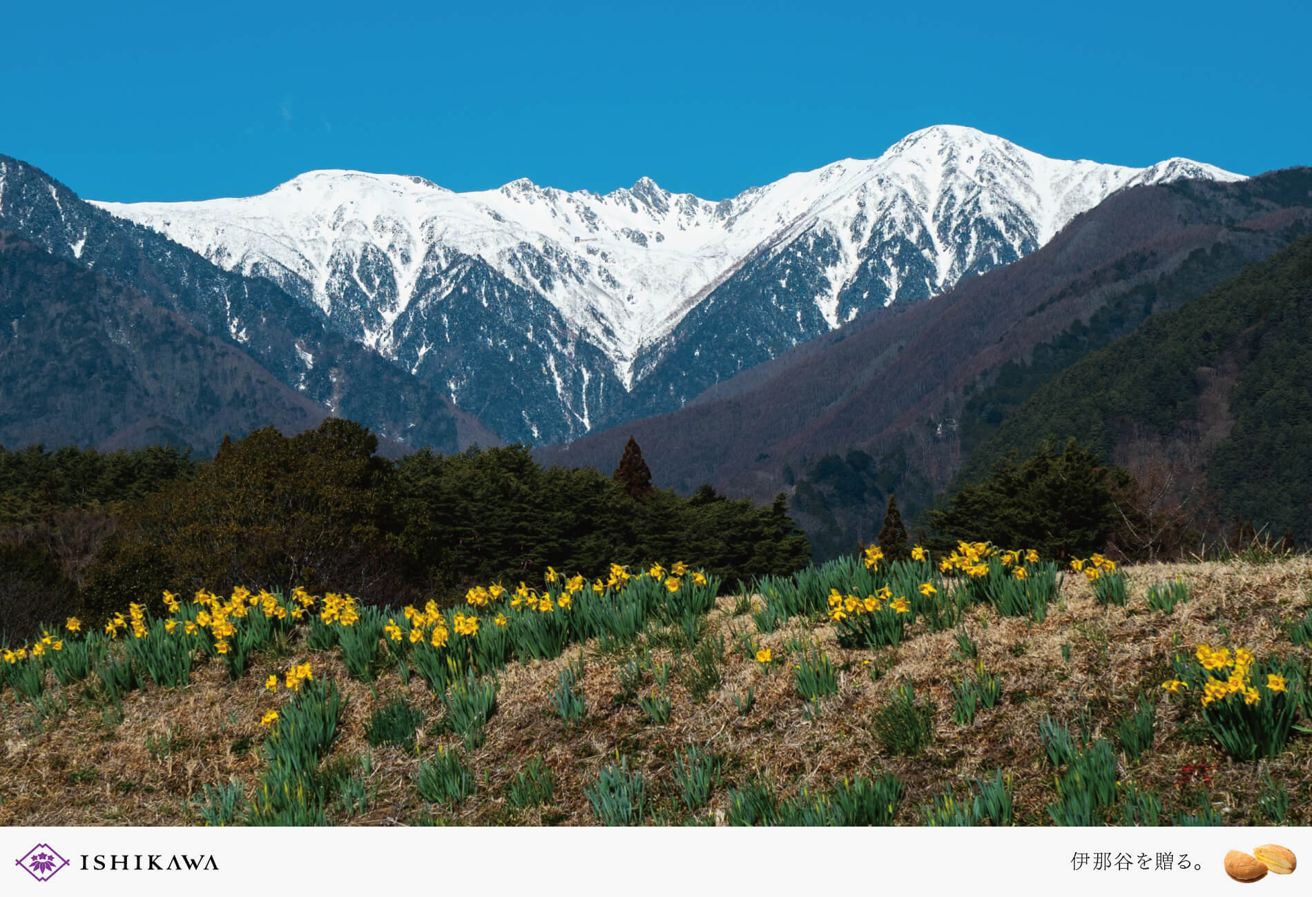 ISHIKAWA | SEASONAL GIFT-Vol.57の記事を読む